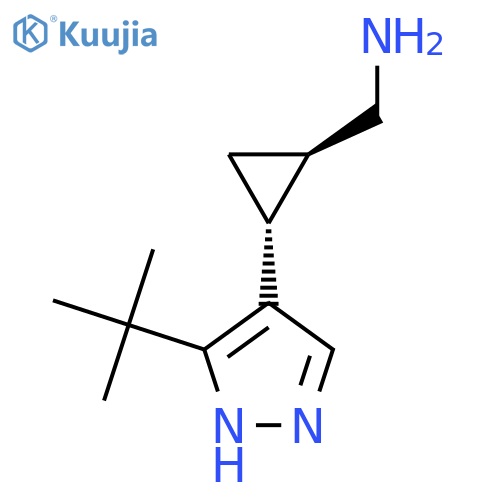 rac-(1R,2R)-2-(3-tert-butyl-1H-pyrazol-4-yl)cyclopropylmethanamine structure