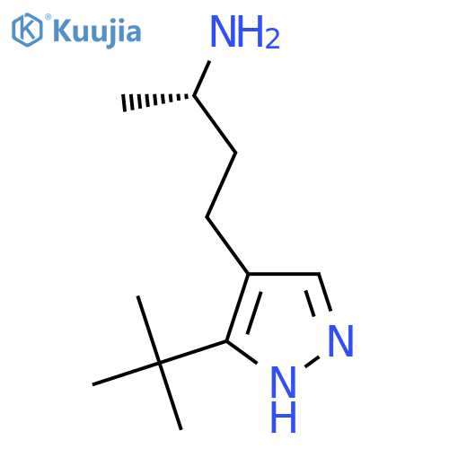 (2S)-4-(3-tert-butyl-1H-pyrazol-4-yl)butan-2-amine structure