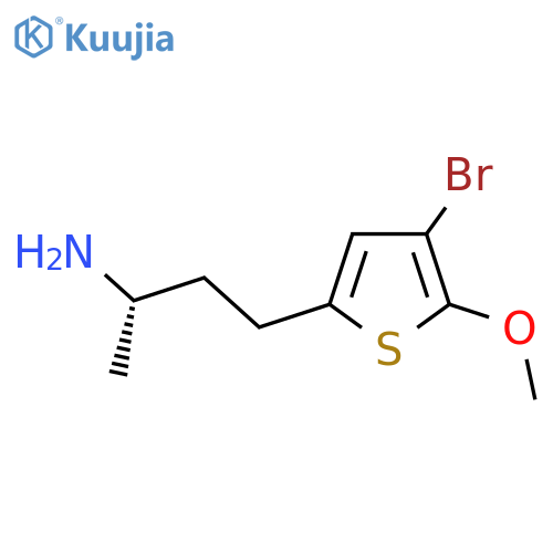(2S)-4-(4-bromo-5-methoxythiophen-2-yl)butan-2-amine structure