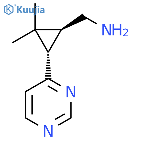 rac-(1R,3R)-2,2-dimethyl-3-(pyrimidin-4-yl)cyclopropylmethanamine structure