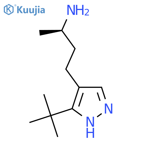 (2R)-4-(3-tert-butyl-1H-pyrazol-4-yl)butan-2-amine structure