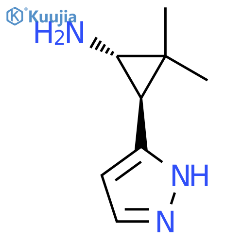 rac-(1R,3S)-2,2-dimethyl-3-(1H-pyrazol-3-yl)cyclopropan-1-amine structure