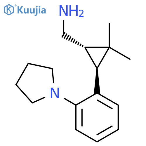 rac-(1R,3R)-2,2-dimethyl-3-2-(pyrrolidin-1-yl)phenylcyclopropylmethanamine structure
