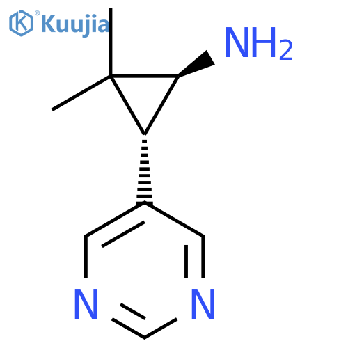 rac-(1R,3R)-2,2-dimethyl-3-(pyrimidin-5-yl)cyclopropan-1-amine structure
