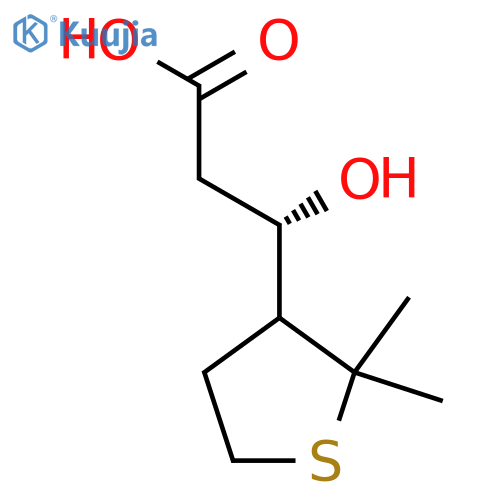 (3S)-3-(2,2-dimethylthiolan-3-yl)-3-hydroxypropanoic acid structure
