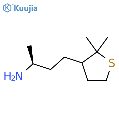 (2S)-4-(2,2-dimethylthiolan-3-yl)butan-2-amine structure