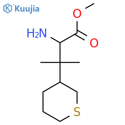 methyl 2-amino-3-methyl-3-(thian-3-yl)butanoate structure