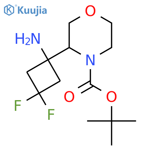 tert-butyl 3-(1-amino-3,3-difluorocyclobutyl)morpholine-4-carboxylate structure