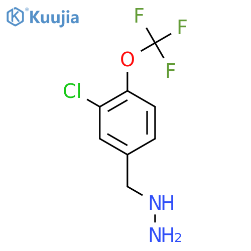 {3-chloro-4-(trifluoromethoxy)phenylmethyl}hydrazine structure