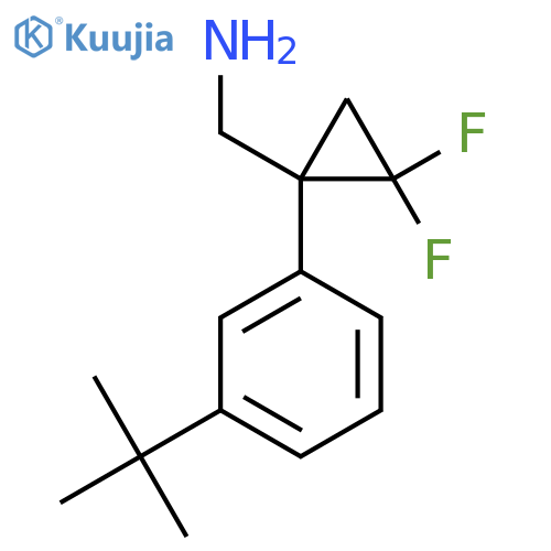 1-(3-tert-butylphenyl)-2,2-difluorocyclopropylmethanamine structure