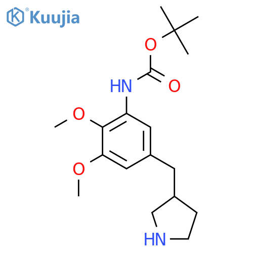tert-butyl N-{2,3-dimethoxy-5-(pyrrolidin-3-yl)methylphenyl}carbamate structure