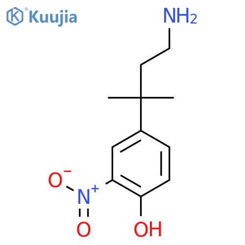 4-(4-amino-2-methylbutan-2-yl)-2-nitrophenol structure