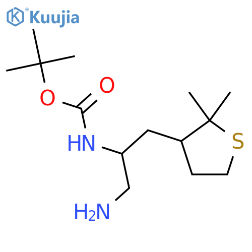 tert-butyl N-1-amino-3-(2,2-dimethylthiolan-3-yl)propan-2-ylcarbamate structure
