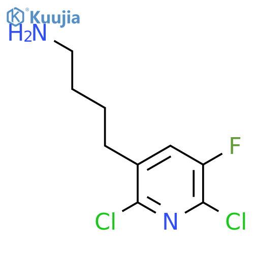 4-(2,6-dichloro-5-fluoropyridin-3-yl)butan-1-amine structure
