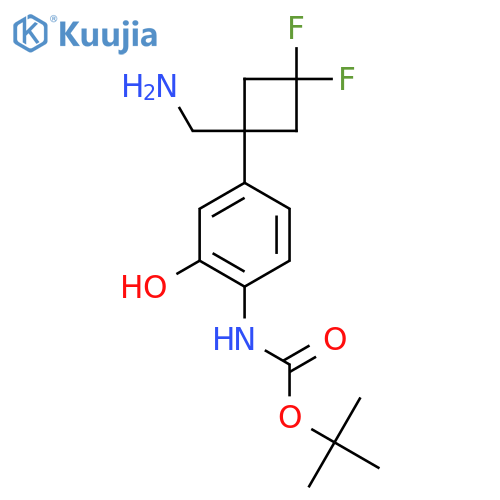 tert-butyl N-{4-1-(aminomethyl)-3,3-difluorocyclobutyl-2-hydroxyphenyl}carbamate structure