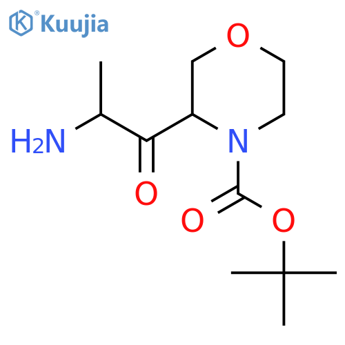 tert-butyl 3-(2-aminopropanoyl)morpholine-4-carboxylate structure