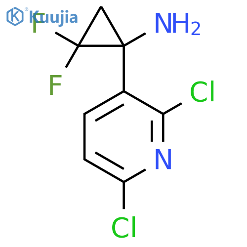 1-(2,6-dichloropyridin-3-yl)-2,2-difluorocyclopropan-1-amine structure