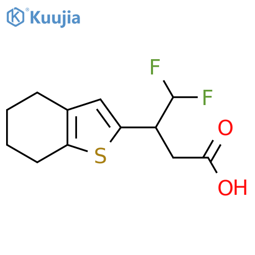 4,4-difluoro-3-(4,5,6,7-tetrahydro-1-benzothiophen-2-yl)butanoic acid structure