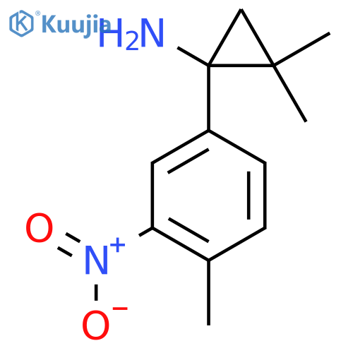 2,2-dimethyl-1-(4-methyl-3-nitrophenyl)cyclopropan-1-amine structure