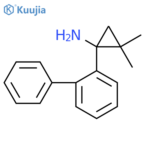 2,2-dimethyl-1-(2-phenylphenyl)cyclopropan-1-amine structure