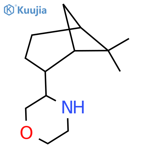 3-{6,6-dimethylbicyclo3.1.1heptan-2-yl}morpholine structure