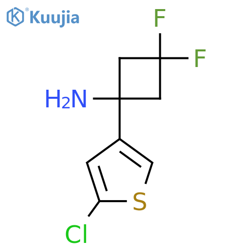 1-(5-chlorothiophen-3-yl)-3,3-difluorocyclobutan-1-amine structure
