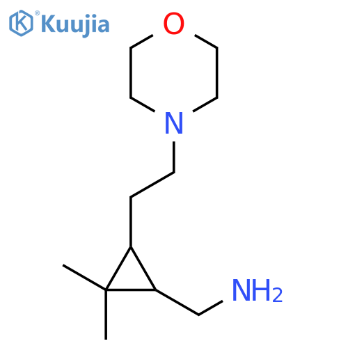 {2,2-dimethyl-3-2-(morpholin-4-yl)ethylcyclopropyl}methanamine structure