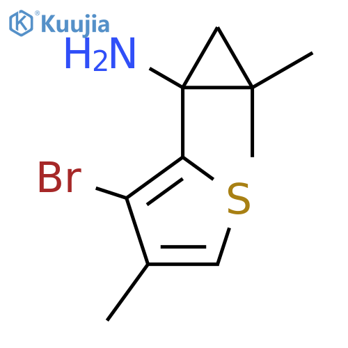1-(3-bromo-4-methylthiophen-2-yl)-2,2-dimethylcyclopropan-1-amine structure