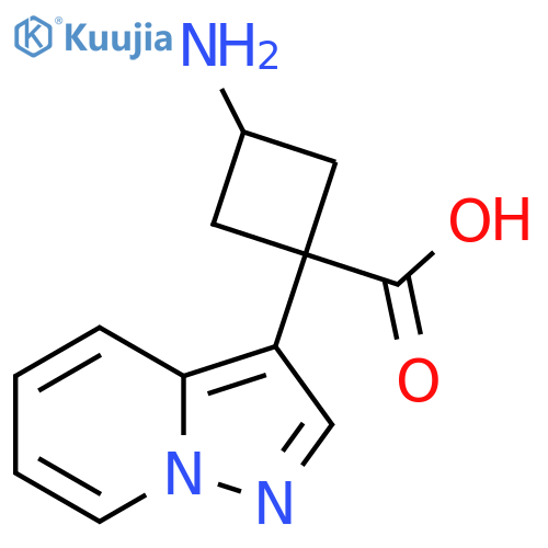 3-amino-1-{pyrazolo1,5-apyridin-3-yl}cyclobutane-1-carboxylic acid structure
