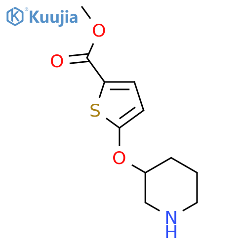 methyl 5-(piperidin-3-yloxy)thiophene-2-carboxylate structure