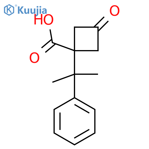 3-oxo-1-(2-phenylpropan-2-yl)cyclobutane-1-carboxylic acid structure