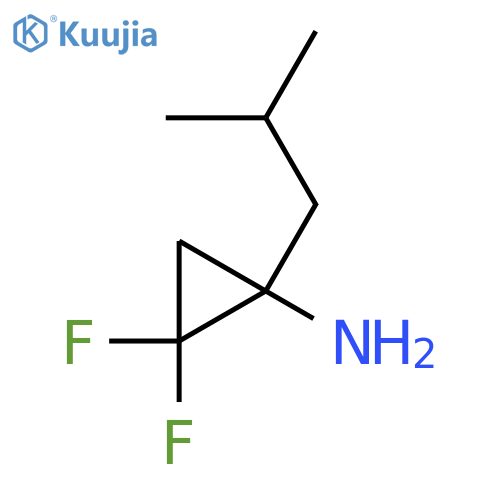 2,2-difluoro-1-(2-methylpropyl)cyclopropan-1-amine structure