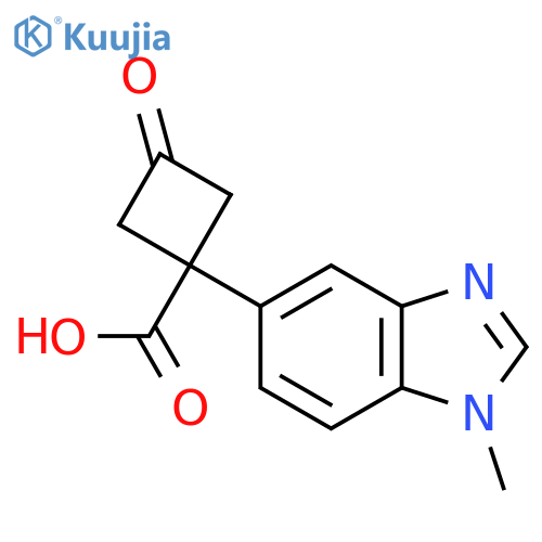 1-(1-methyl-1H-1,3-benzodiazol-5-yl)-3-oxocyclobutane-1-carboxylic acid structure