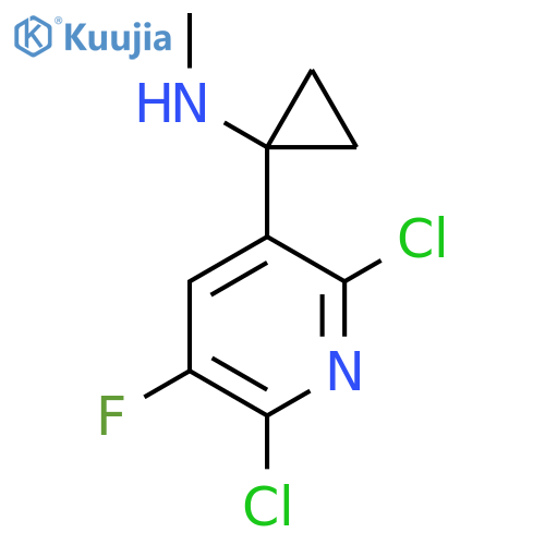 1-(2,6-dichloro-5-fluoropyridin-3-yl)-N-methylcyclopropan-1-amine structure