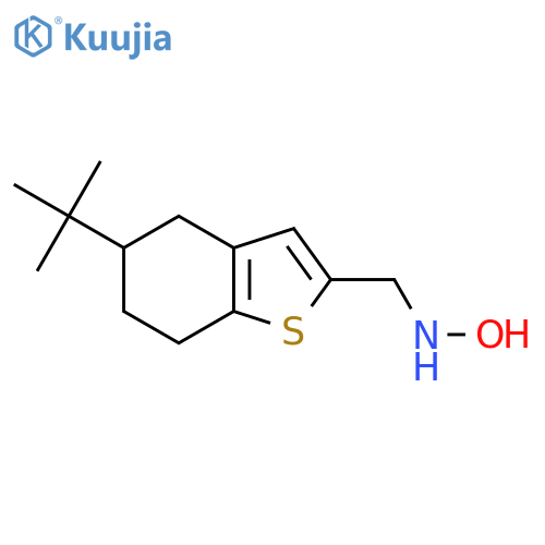 N-(5-tert-butyl-4,5,6,7-tetrahydro-1-benzothiophen-2-yl)methylhydroxylamine structure