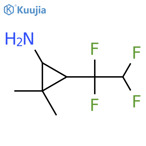 2,2-dimethyl-3-(1,1,2,2-tetrafluoroethyl)cyclopropan-1-amine structure