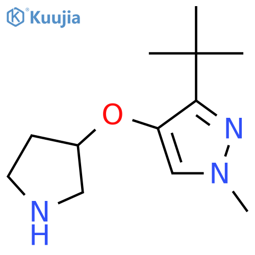 3-tert-butyl-1-methyl-4-(pyrrolidin-3-yloxy)-1H-pyrazole structure