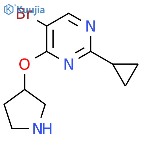 5-bromo-2-cyclopropyl-4-(pyrrolidin-3-yloxy)pyrimidine structure