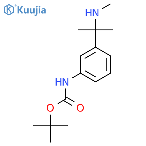 tert-butyl N-{3-2-(methylamino)propan-2-ylphenyl}carbamate structure