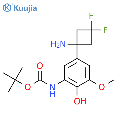 tert-butyl N-5-(1-amino-3,3-difluorocyclobutyl)-2-hydroxy-3-methoxyphenylcarbamate structure
