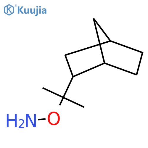 O-(2-{bicyclo2.2.1heptan-2-yl}propan-2-yl)hydroxylamine structure