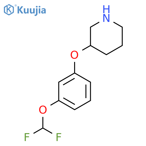 3-3-(difluoromethoxy)phenoxypiperidine structure