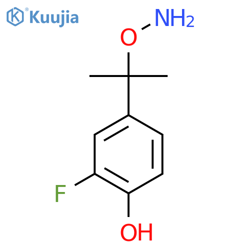 4-2-(aminooxy)propan-2-yl-2-fluorophenol structure