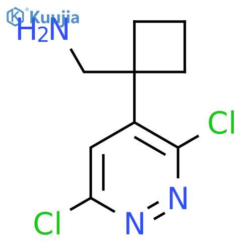 1-(3,6-dichloropyridazin-4-yl)cyclobutylmethanamine structure