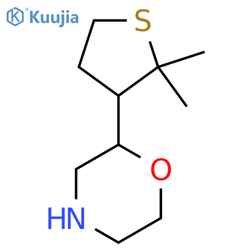 2-(2,2-dimethylthiolan-3-yl)morpholine structure