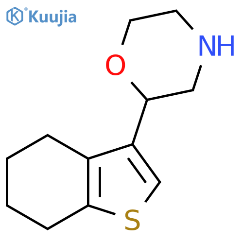 2-(4,5,6,7-tetrahydro-1-benzothiophen-3-yl)morpholine structure