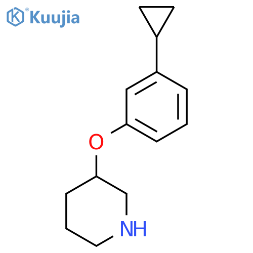 3-(3-cyclopropylphenoxy)piperidine structure