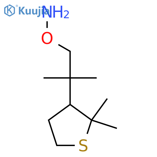 O-2-(2,2-dimethylthiolan-3-yl)-2-methylpropylhydroxylamine structure