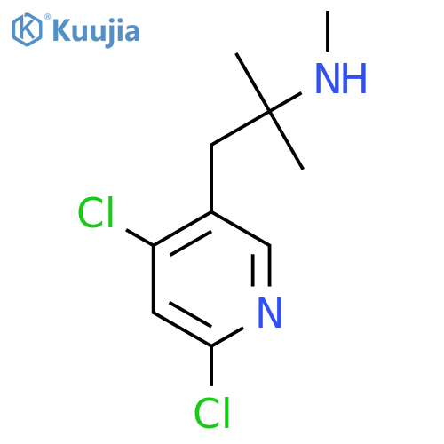 1-(4,6-dichloropyridin-3-yl)-2-methylpropan-2-yl(methyl)amine structure