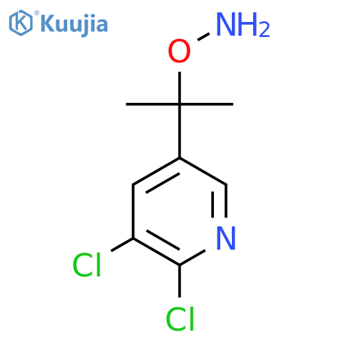 O-2-(5,6-dichloropyridin-3-yl)propan-2-ylhydroxylamine structure